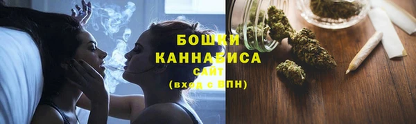 шишки Вязники