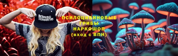 шишки Вязники