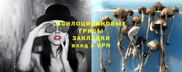 шишки Вязники
