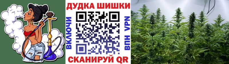 где найти наркотики  Великий Новгород  Канабис гибрид 